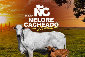 LEILÃO NELORE CACHEADO - 25 ANOS